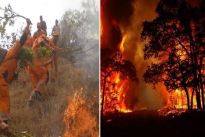 UTTARAKHAND RATED AMONGST 10 HIGH RISK WILD-FIRE STATES OF INDIA